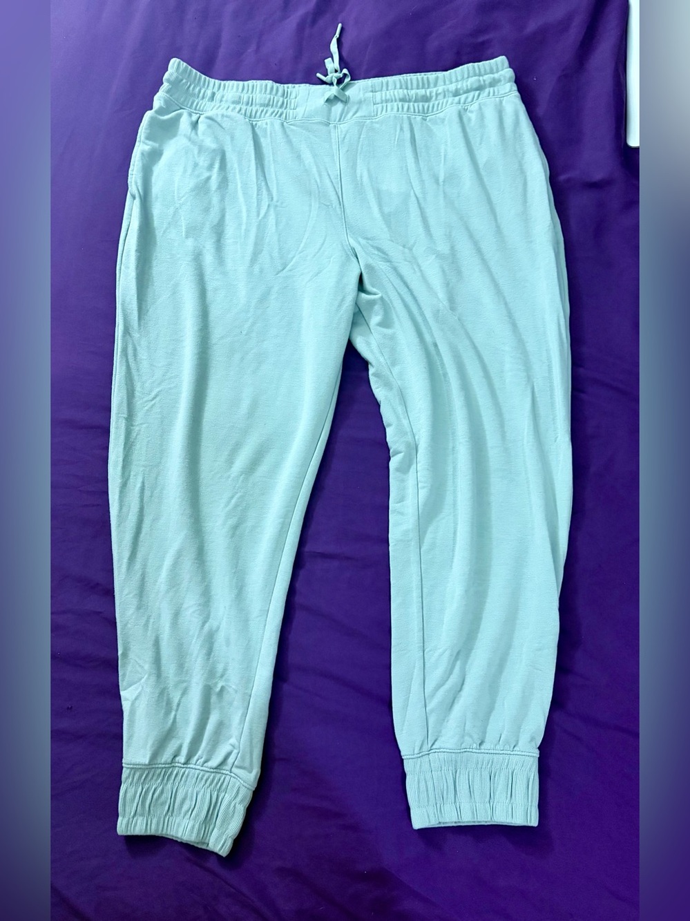 Tek Gear Women’s XXL Light Sage Green Jogger Pants Pull-On